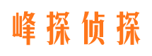 积石山侦探